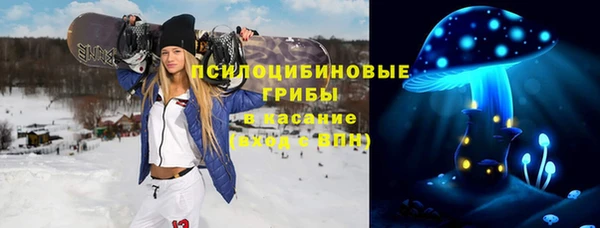 молекула духа Аркадак