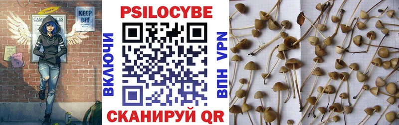 Галлюциногенные грибы Psilocybine cubensis  Петухово 